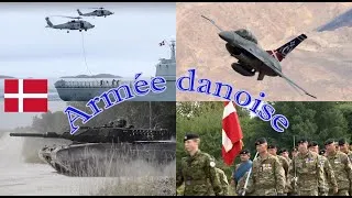 Miniature : Armée du Danemark, et ses capacités défensives