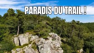 Miniature : TRAIL: UN PARCOURS EXCEPTIONNEL ENTRE FORÊT, LAC ET RELIEFS ESCARPÉS !