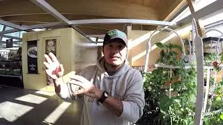 Miniature : Tour jardin FLEX