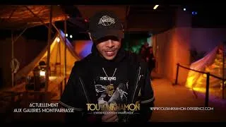 Miniature : Toutânkhamon l'Expérience Immersive  Pharaonique - Testimoniaux
