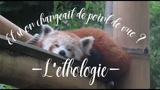 Miniature : L'éthologie | Et si on changeait de point de vue ?