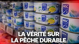 Miniature : POISSON : Peut-on faire confiance aux labels de pêche ? – Tout Compte Fait