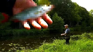 Miniature : Énorme poisson à 11:19 ! L'expert @Ruuof apprend la pêche au leurre à 2 incapables - TDV 4