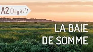 Miniature : On y va n°17 : la Baie de Somme ! Compréhension orale FLE