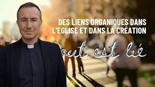 Miniature : Synodalité et écologie intégrale : un lien si évident ?