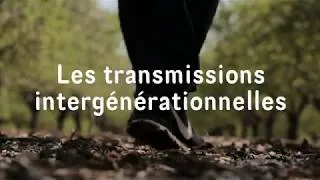 Miniature : Les transmissions intergénérationnelles : prendre conscience du relai