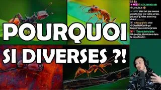 Miniature : 🐜 L'Environnement A Diversifié Les Fourmis