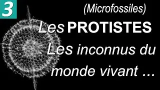 Miniature : Les PROTISTES (Microfossiles) - par Mme RUAULT-DJERRAB