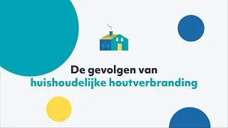 Miniature : De gevolgen van huishoudelijke houtverbranding