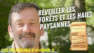 Miniature : Ils créent emplois et revenus avec des bois que personne n'utilisait