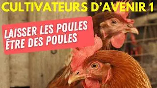 Miniature : Pourquoi ces éleveurs replantent des arbres pour leurs poules ?