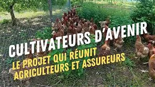 Miniature : Ces agriculteurs redonnent de la valeur à des terres délaissées et aux arbres