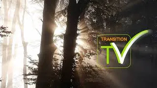 Miniature : Vidéo de présentation de TRANSITION TV