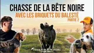 Miniature : INCROYABLE CHASSE AU SANGLIER AVEC LES BRIQUETS DU BALESTÉ !