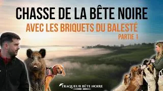 Miniature : ÉNORME CHASSE DE LA BÊTE NOIRE AVEC LES BRIQUETS DU BALESTÉ !