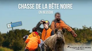 Miniature : CHASSE DE LA BÊTE NOIRE EN BESSÈDE !