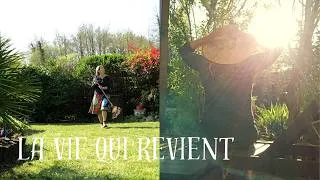 Miniature : La vie qui revient -  Les premiers signes du printemps - Slow life FRANCE 🌿🌿🌿