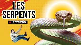 Miniature : Pourquoi Avons-Nous Si Peur Des Serpents ?