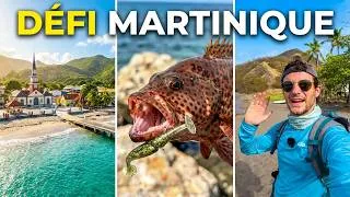 Miniature : EXPLORER seul une île pour PECHER le plus de poissons