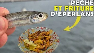 Miniature : Pêcher les EPERLANS et les CUISINER en friture pour l'apéritif ! Une pêche facile et familiale