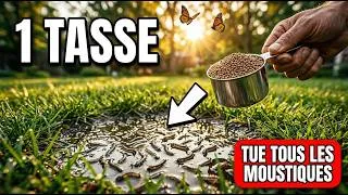 Miniature : Une Tasse de Ceci Tue Tous les Moustiques de Votre Jardin — Sans Nuire aux Abeilles ni aux Papillons