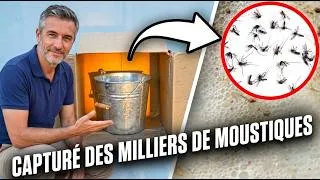Miniature : Ce piège à moustiques attrape des milliers de moustiques!