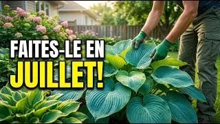 Miniature : Chaque juillet, votre jardin en a besoin — la plupart des jardiniers se trompent