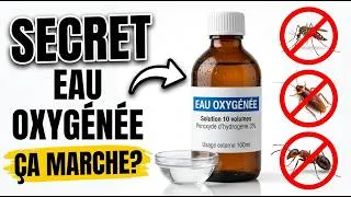 Miniature : L’astuce à l’eau oxygénée qui élimine de nombreux insectes de votre maison