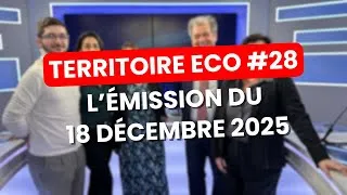 Miniature : Aéroport de Nice : attractivité et enjeux économiques dans Territoire Éco #29