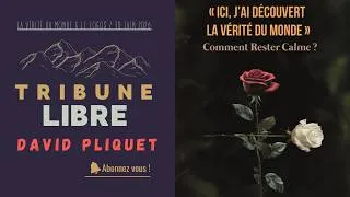 Miniature : La recherche de la Vérité du Monde et le Logos | Le Poète, l’Action et le Verbe | David Pliquet