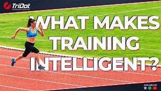 Miniature : Why Training Intelligence Needs First Principles // The TriDot Triathlon Podcast // EP 345