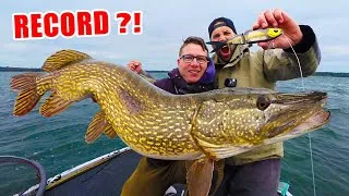 Miniature : 48H pour pêcher un BROCHET GÉANT !! ( pêche au leurre )