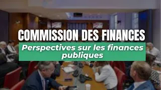 Miniature : Perspectives sur les finances publiques