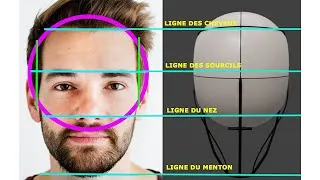 Miniature : Méthode Loomis : comprendre les proportions du visage pour dessiner un portrait
