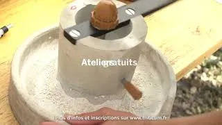 Miniature : Fête des Moissons 2022 - TRITICUM