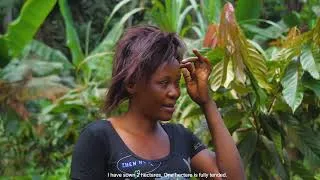 Miniature : Success Gender and Youth in agroforestry