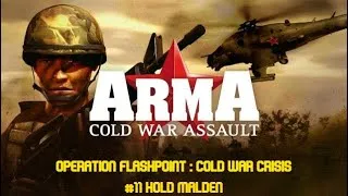 Miniature : [ARMA Cold War Assault] Tenir Malden #11 HD STFR