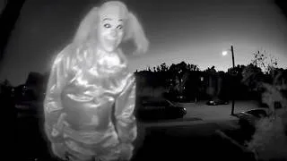 Miniature : Les Découvertes Les Plus Hallucinantes Faites Sur La Marquise