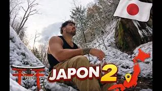 Miniature : LUI (seul) AU JAPON 2 (2/2)