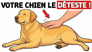 Miniature : Si vous caressez votre chien de cette façon, regardez ceci immédiatement !
