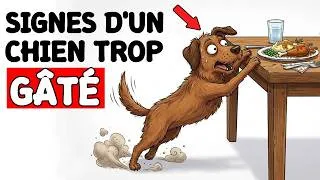 Miniature : 10 signes que vous avez trop gâté votre chien