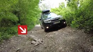 Miniature : Subaru Forester SJ : Sentier en forêt et rivière de pierres.