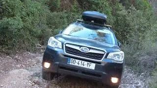 Miniature : TSFJO 4X4. HISTOIRES D'EAUX