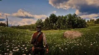 Miniature : Voici comment réellement profitez ! RDR2 RP - ReShade RX 7800 XT - 4K50