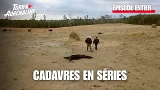 Miniature : Dans les coulisses des Rangers du Texas ... La loi du Texas