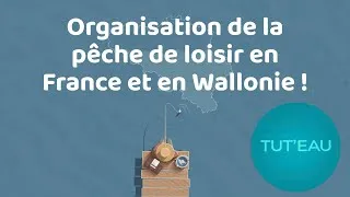 Miniature : Organisation de la pêche en France et en Wallonie !