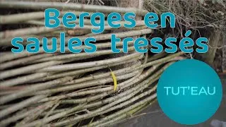 Miniature : Tuto : tresser des perches de saule pour protéger ses berges !
