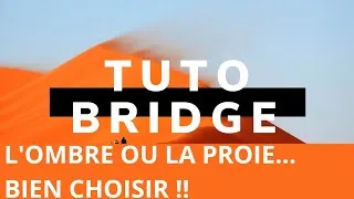 Miniature : L'ombre ou la proie....bien choisir !! #108 Tuto Bridge 