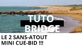 Miniature : Le 2SA mini cue-bid !!! #107 Tuto Bridge
