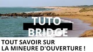 Miniature : Tout savoir sur la mineure d'ouverture !! #106 Tuto Bridge 